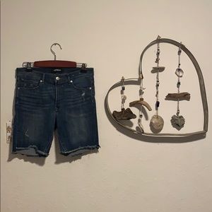 Express Bermuda Shorts